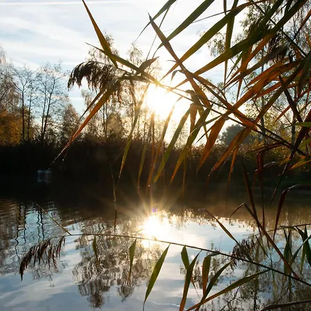Apartment Seehof Direkt Am *