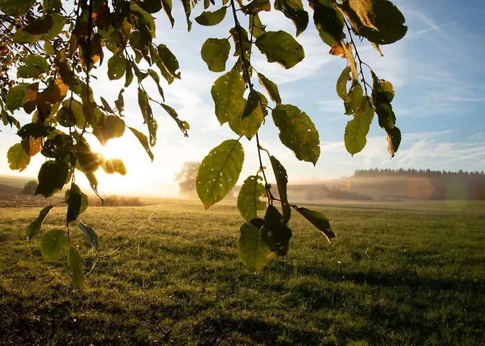 Seehof Direkt Am Апартаменты