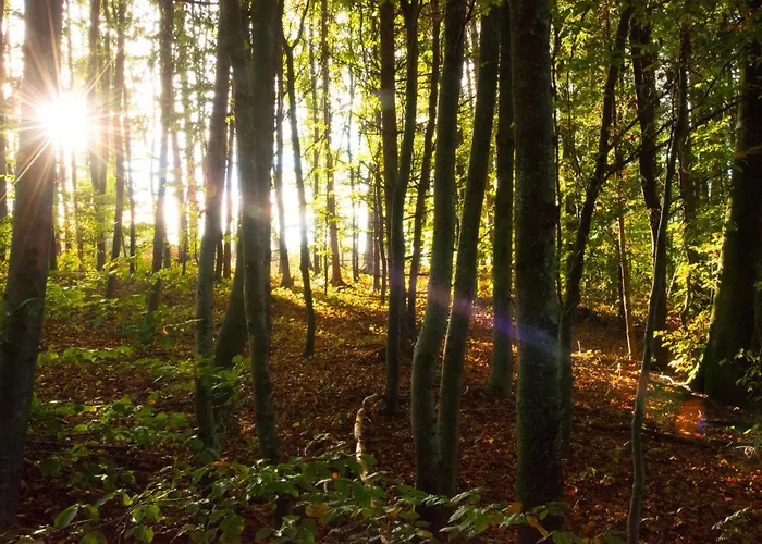 Апартаменты Seehof Direkt Am *